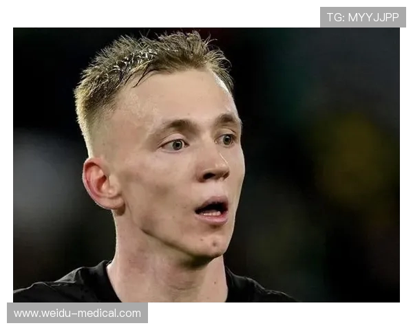 德甲球队拜尔的历史与未来展望