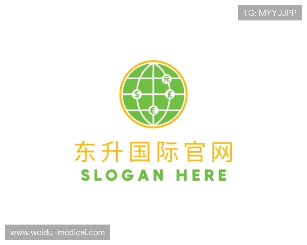发现东升国际